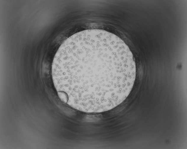 X0000115720571200912241607