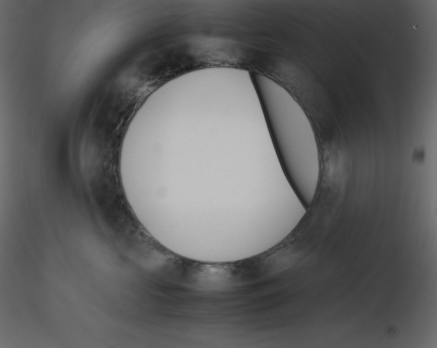 X0000115720573200912241607