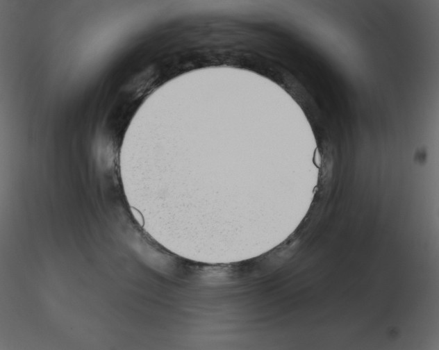 X0000115720574200912241607