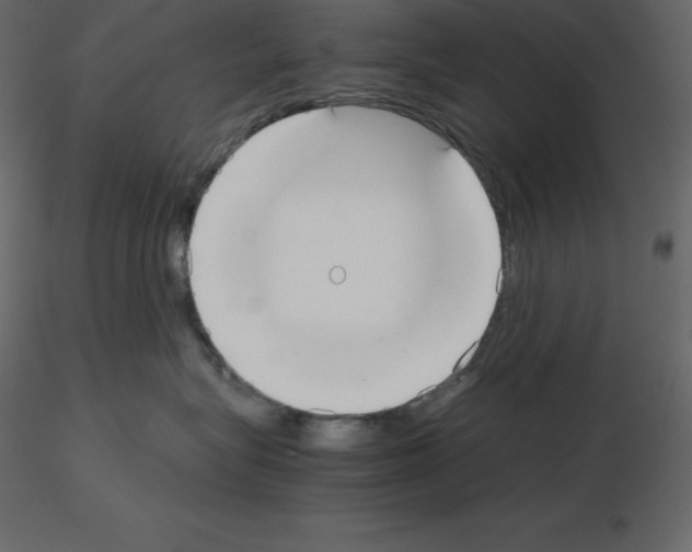 X0000115720575200912241607