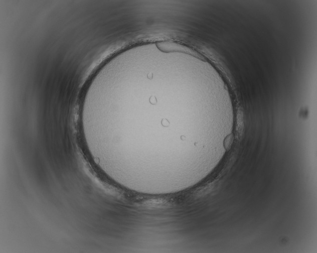 X0000115720578200912241607