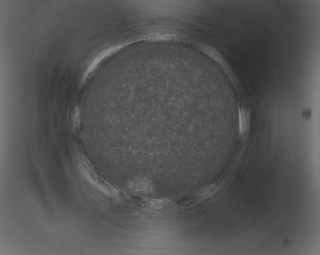 X0000115720579200912241607