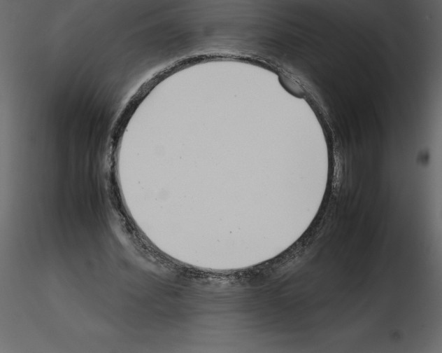 X0000115720580200912241607