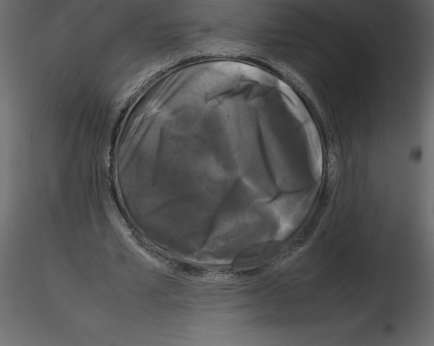 X0000115720581200912241607
