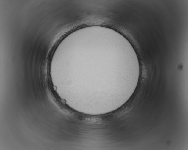 X0000115720582200912241607