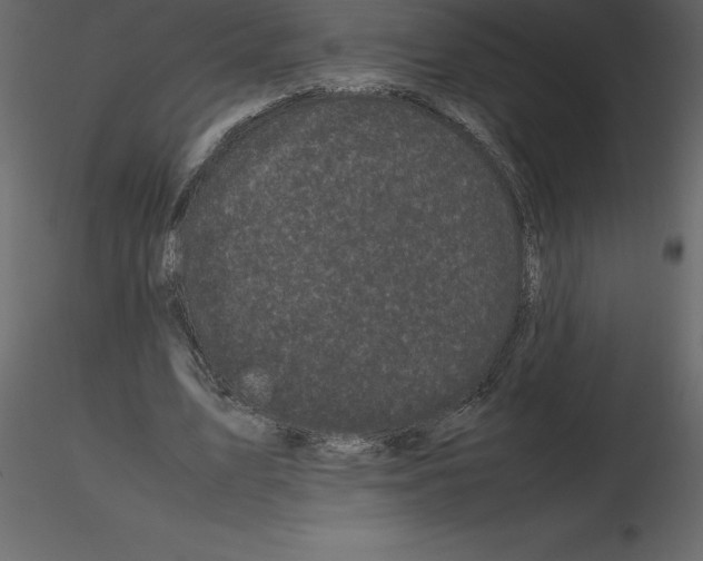 X0000115720583200912241606