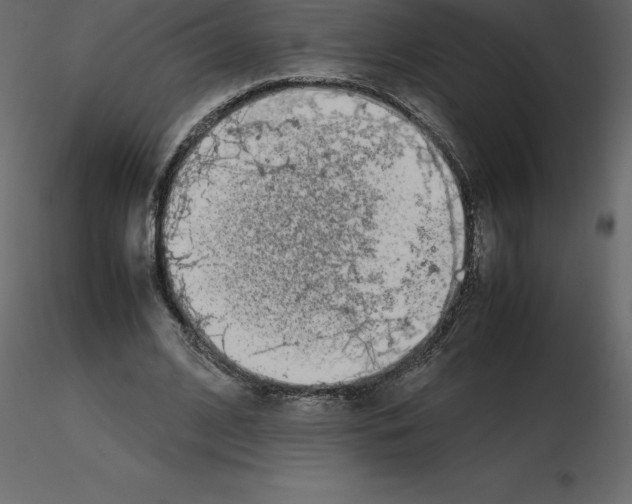X0000115720584200912241606