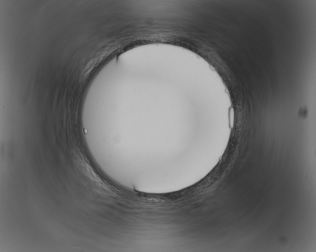 X0000115720585200912241606