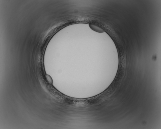 X0000115720587200912241606