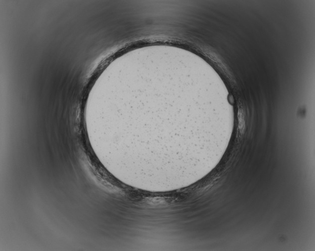 X0000115720588200912241606