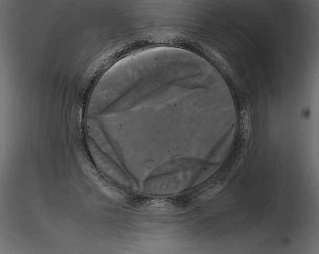 X0000115720589200912241606