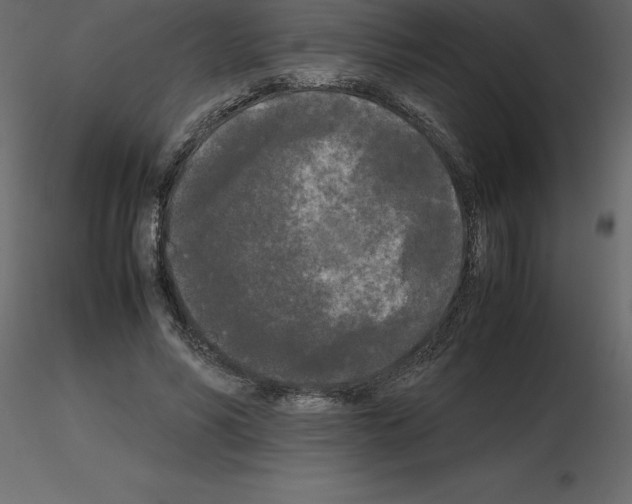 X0000115720590200912241606