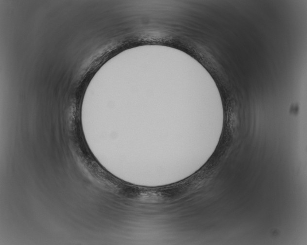X0000115720591200912241606