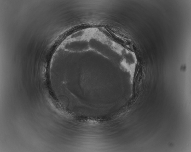 X0000115720592200912241606