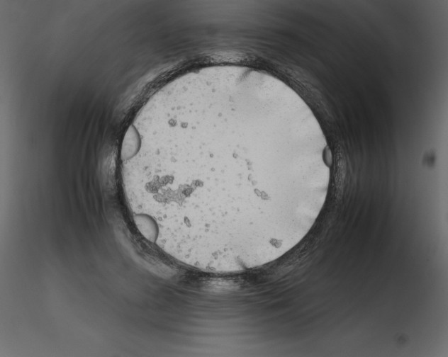 X0000115720596200912241606