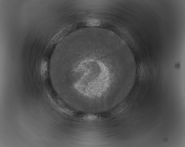 X0000115720598200912241606