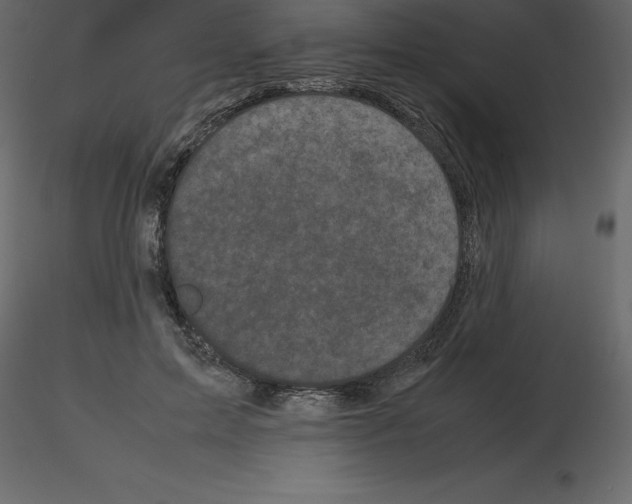 X0000115720599200912241606