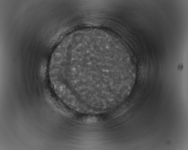 X0000115720600200912241606