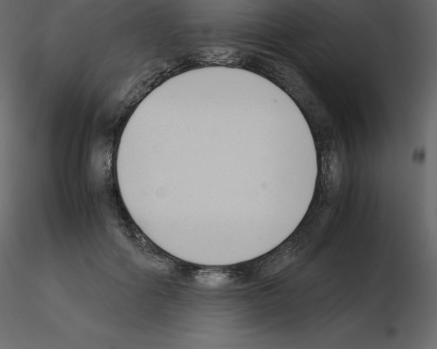 X0000115720602200912241606