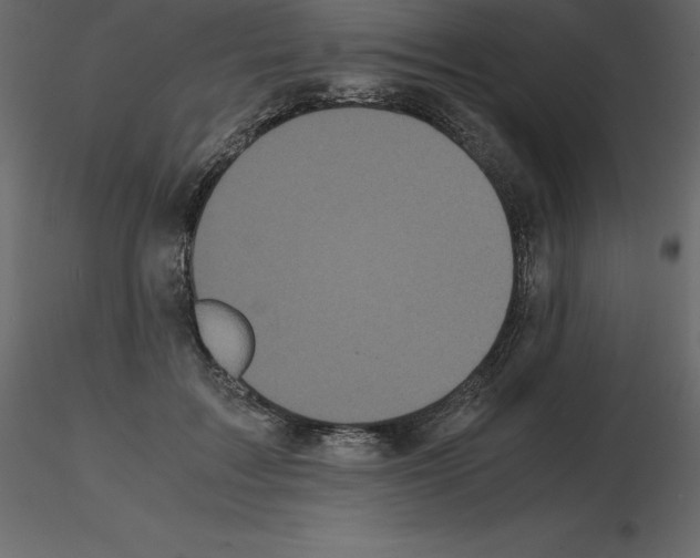 X0000115720603200912241606