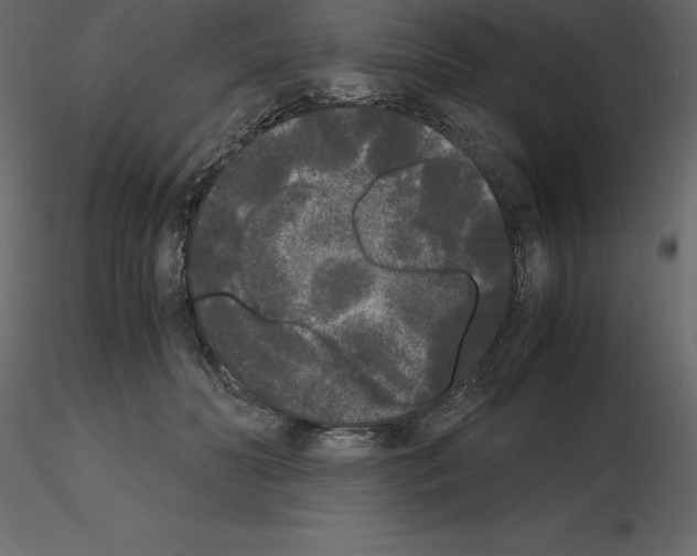 X0000115720606200912241606