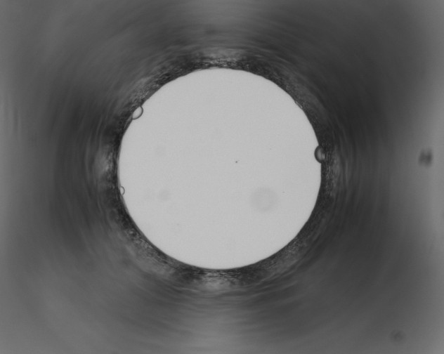 X0000115720608200912241606
