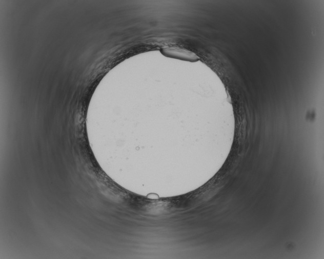 X0000115720609200912241606