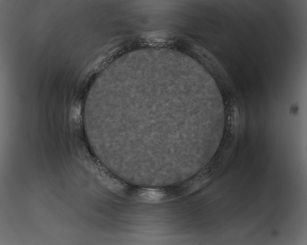 X0000115720610200912241606