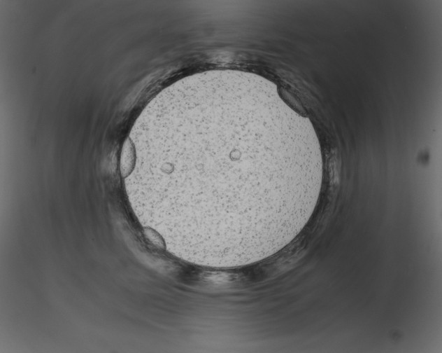 X0000115720611200912241606