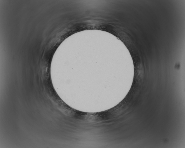X0000115720615200912241606