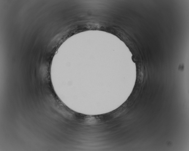 X0000115720616200912241606