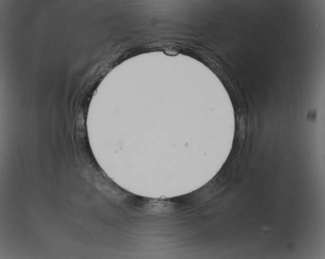 X0000115720617200912241606