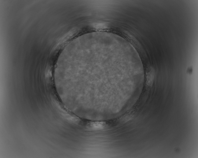 X0000115720618200912241606
