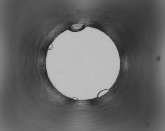 X0000115720619200912241606