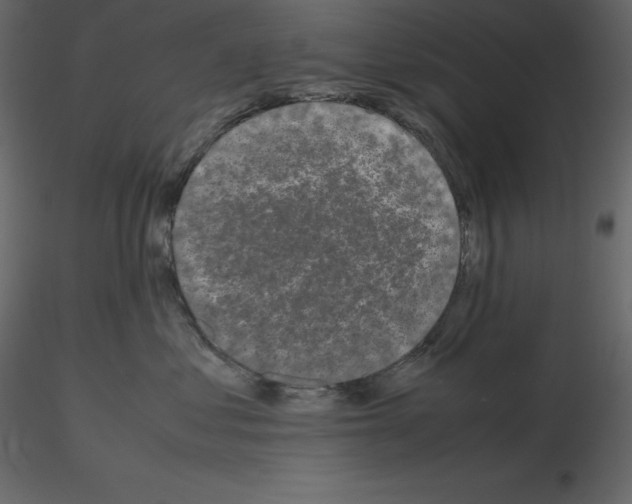 X0000115720621200912241606