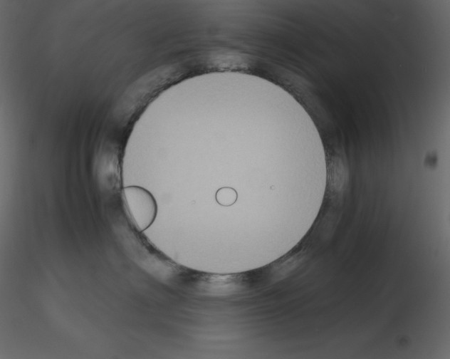 X0000115720622200912241606