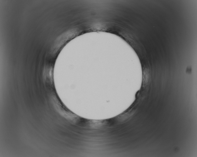 X0000115720623200912241606