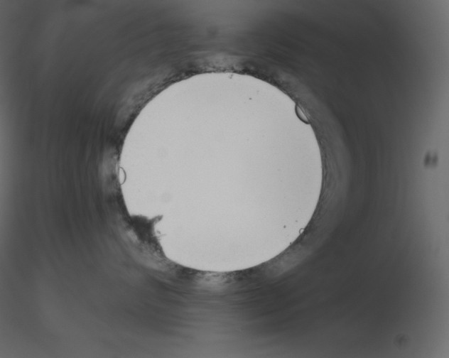 X0000115720624200912241606