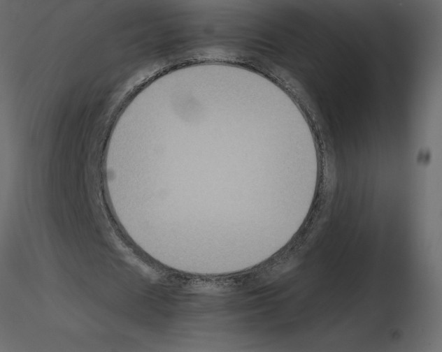 X0000115720625200912241605