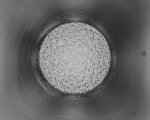 X0000115720626200912241605