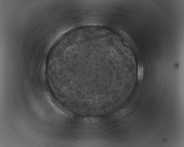 X0000115720627200912241605
