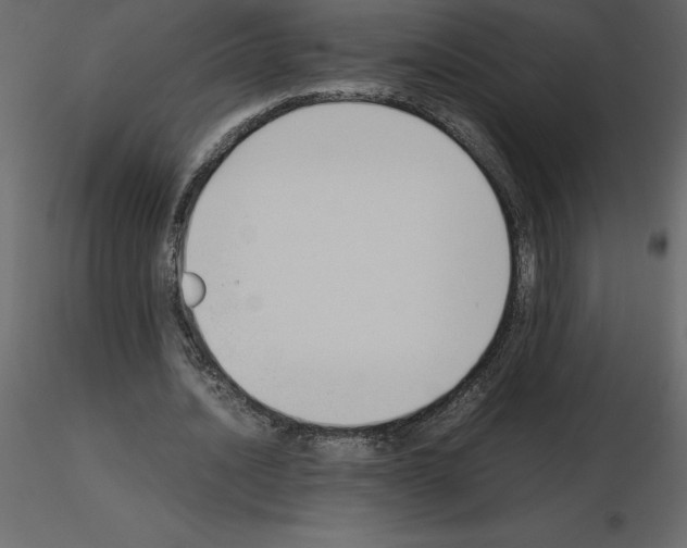 X0000115720628200912241605