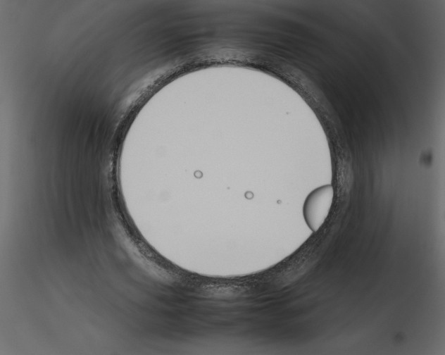 X0000115720629200912241605