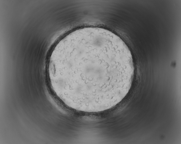 X0000115720630200912241605