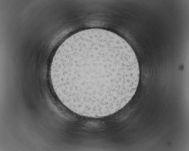 X0000115720631200912241605