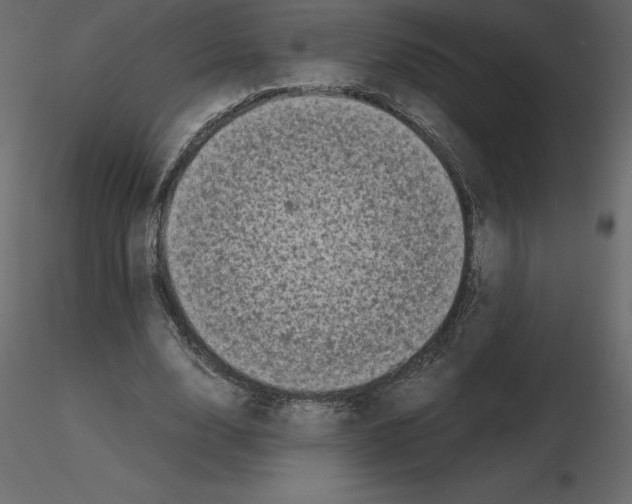 X0000115720632200912241605