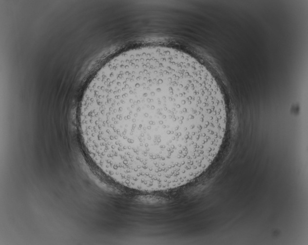 X0000115720633200912241605