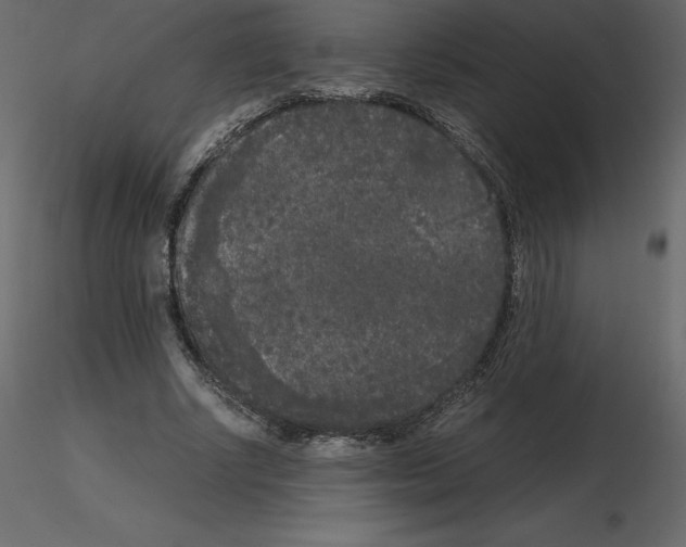 X0000115720634200912241605