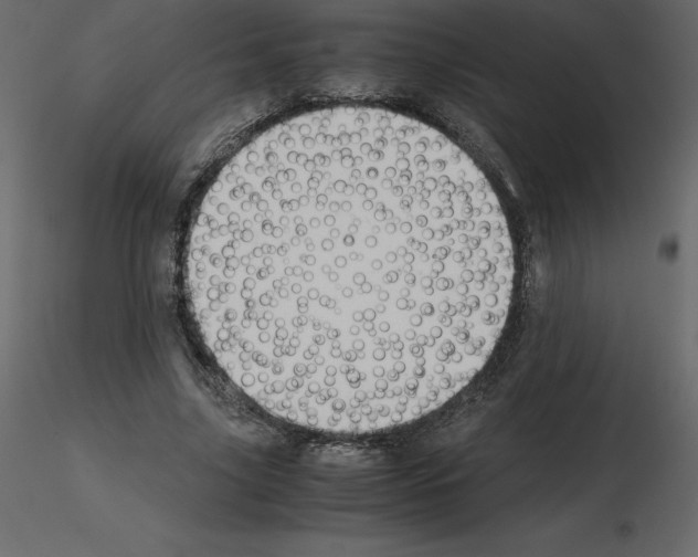 X0000115720635200912241605