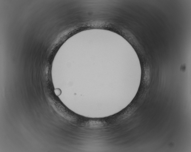 X0000115720636200912241605